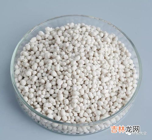 绿萝肥料淘米水,淘米水怎么浇绿萝