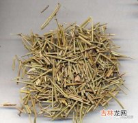 麻黄的功效和作用,中药麻黄的功效与主治