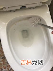 马桶堵了最快的办法,马桶堵了怎么通最快