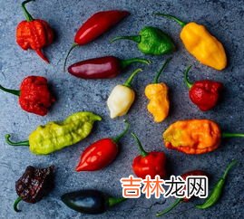吃海蜇的好处与危害,食用海蜇的功效?北方人喜欢吃海蜇吗?
