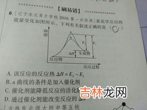 鲁米诺反应是什么,鲁米诺反应 的原理 试剂 结果