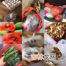 五指毛桃泡酒有什么功效,五指毛桃泡酒有什么功效 五指毛桃泡酒功效有哪些