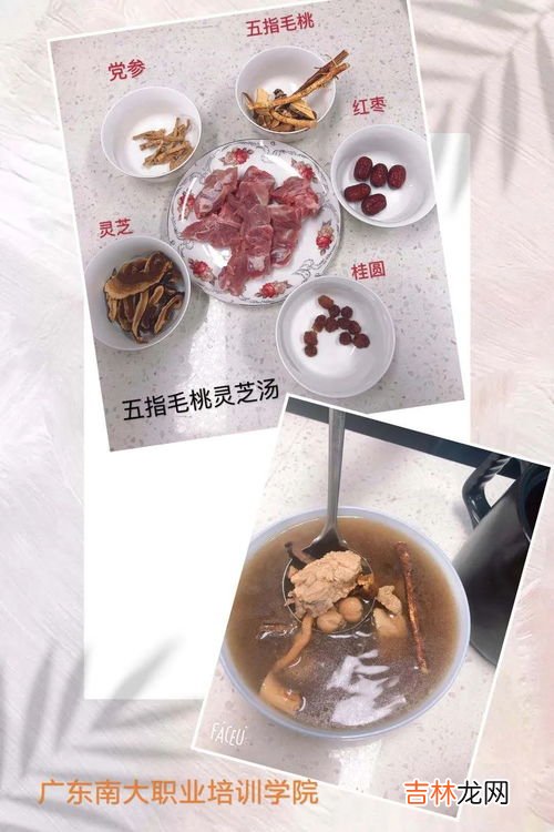 五指毛桃泡酒有什么功效,五指毛桃泡酒有什么功效 五指毛桃泡酒功效有哪些