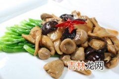 狗肉可以和茄子一起吃吗,茄子能和狗肉一起吃吗？