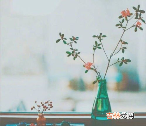 直道相思了无益未妨惆怅是清狂什么意思,直道相思了无益未妨惆怅是清狂什么意思