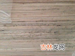 地板发霉怎么清理干净,地板受潮发霉怎么办？