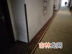 地板发霉怎么清理干净,地板受潮发霉怎么办？