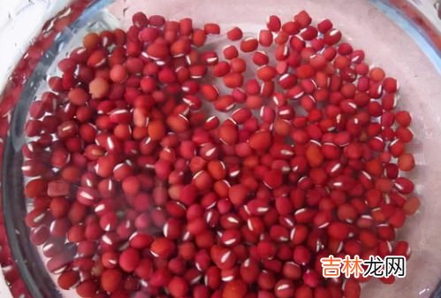 红豆泡一晚上第二天煮可以吗,红豆泡一晚上第二天煮可以吗