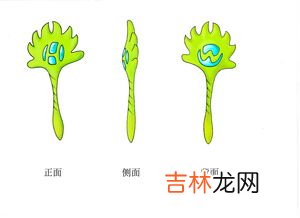 马兰花的寓意和象征,马兰花的寓意和象征