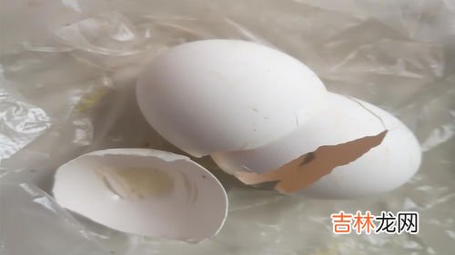 鸡蛋壳发霉能洗掉还能吃吗,发霉的鸡蛋冼干净还可以吃吗？