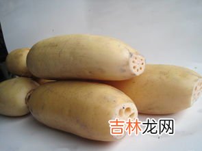 莲藕品种,莲藕分多少种类？有几种做法？
