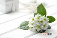 菊花的功效和作用与禁忌,菊花茶的功效与作用菊花茶的禁忌