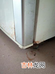 冰柜底下漏水怎么办,冰柜漏水是什么原因,该怎样解决