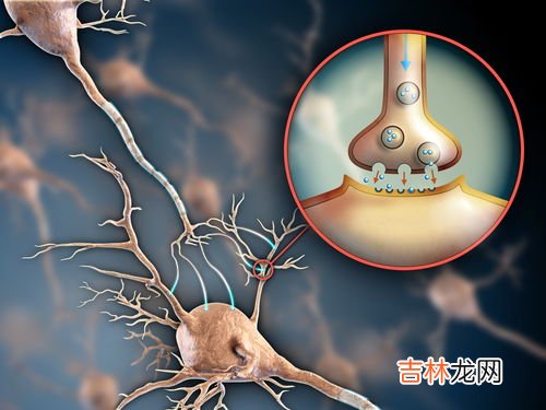 运动神经元病是怎么引起的,运动神经元病是怎么来的?