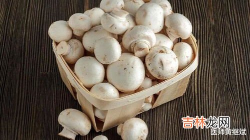 松树菇的功效与作用,松蘑菇的营养价值与功效