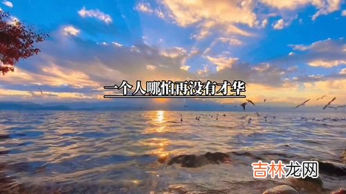 老大徒伤悲的前一句是什么,少壮不努力,老大徒伤悲的前两句是什么?