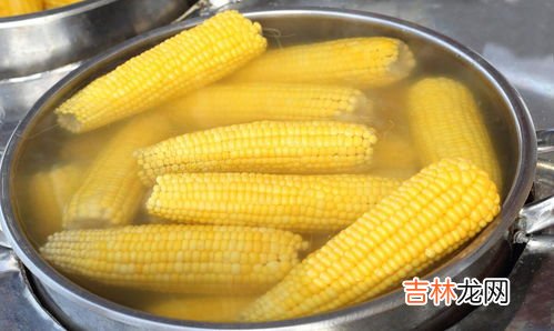 玉米需要放冰箱吗,玉米可以放冰箱冷冻吗 玉米放冰箱冷冻好吗