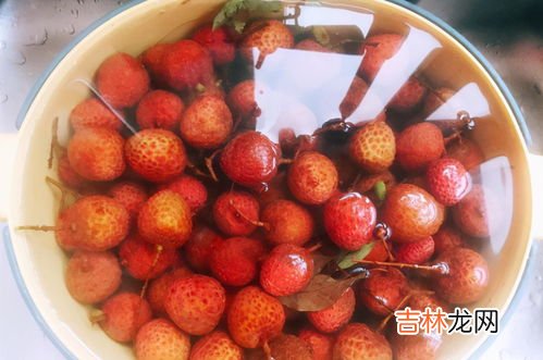 荔枝吃不完可以冷冻吗,新鲜荔枝可以冷冻吗