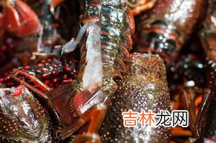 小龙虾太脏了怎么清洗,小龙虾清洗方法