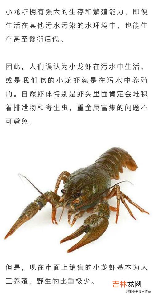 小龙虾太脏了怎么清洗,小龙虾清洗方法