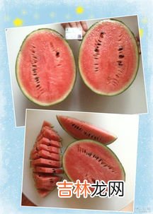 西瓜可以和牛奶一起吃吗,西瓜和牛奶可以一起吃吗？