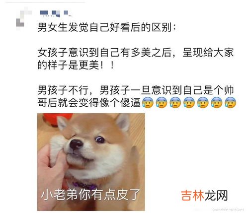 狗带什么意思,狗带是什么意思