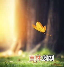 立秋后身体注意什么,立秋过后应该注意哪些问题呢,立秋过后饮食注意事项?