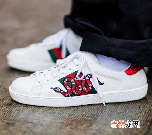 sneaker是什么,Sneaker是什么意思 《法语助手》法汉