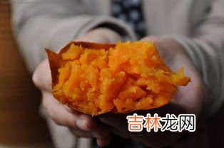 烤箱烤红薯需要锡纸吗,烤地瓜还需要用锡纸吗 烤箱烤红薯需要用锡纸吗