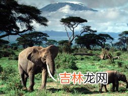 非洲全称叫什么名字,非洲的全名是什么?