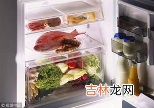 龙眼可以放冰箱急冻吗,龙眼到底放不放冰箱 龙眼可以放冰箱冷藏吗
