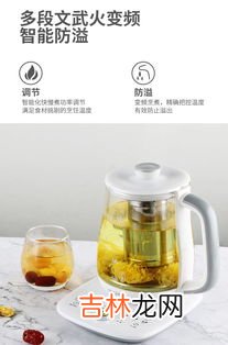 电烧水壶可以煮花茶吗,养生壶煮花茶会烧开吗