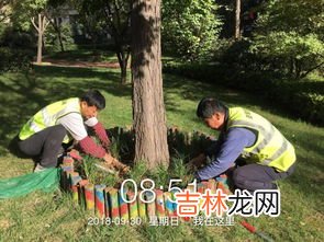 爱护花草树木的建议,保护花草树木的建议20条