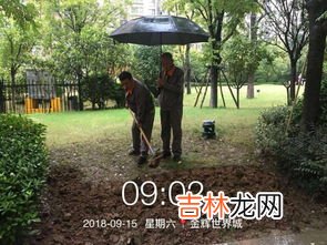 爱护花草树木的建议,保护花草树木的建议20条