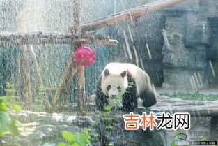 火焰温度最高的部分,火焰温度最高是多少