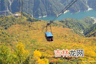 阔叶树针叶树各有哪些,针叶树和阔叶树分别有哪些？