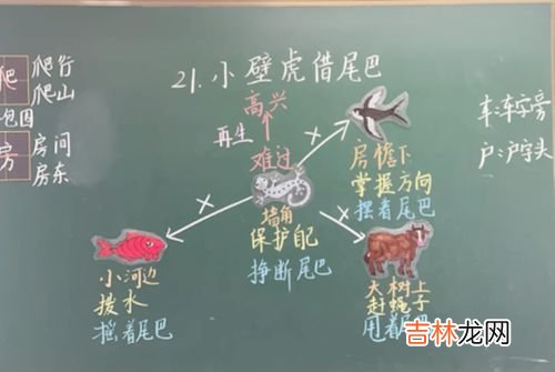 板书的作用,板书的意义是什么？