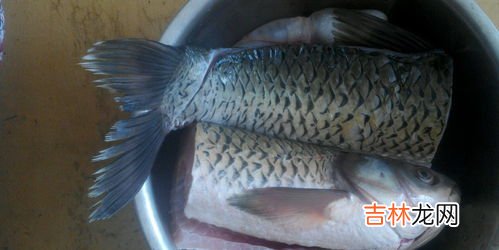 草鱼怎么做好吃,草鱼怎么做好吃?