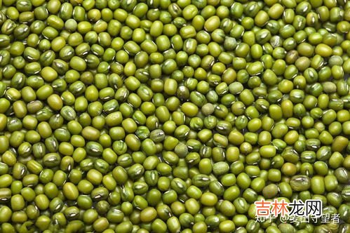狗肉可以和绿豆一起吃吗,绿豆和狗肉可以一起吃吗