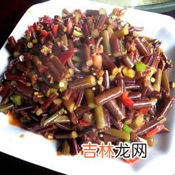 蕨菜的功效与作用,蕨菜的功效与作用及食用方法