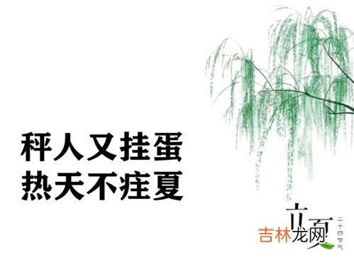 立夏的习俗适合夏天喝的茶有哪些,立夏喝什么茶