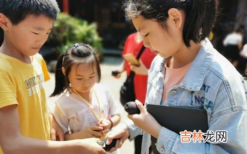 立夏的习俗适合夏天喝的茶有哪些,立夏喝什么茶