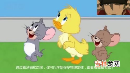老鼠怕什么气味和东西,老鼠怕什么气味