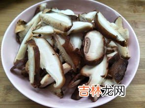 兔肉可以和香菇一起吃吗,平菇和兔肉能一起吃吗