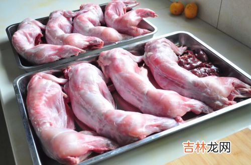兔肉可以和鸡蛋一起吃吗,兔肉能和鸡蛋一起吃吗？