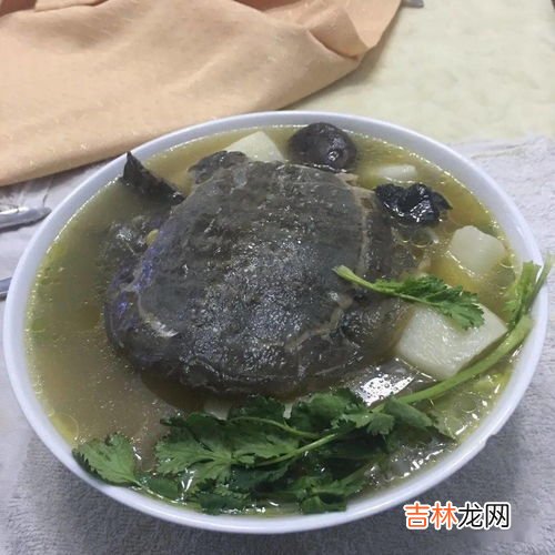 甲鱼的杀法,甲鱼的正确杀法