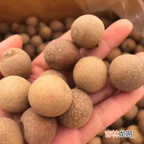 龙眼的吃法及功效,龙眼有补血的效果，龙眼怎么吃最好呢？