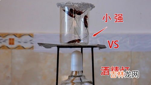 酒精灯的用途,酒精灯在日常生活中什么用途