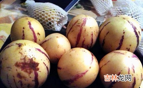 人参果的籽可以吃吗,人参果的芯子能吃吗 人参果的营养价值