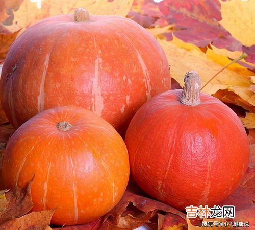 南瓜秧头怎么吃,南瓜秧尖的做法大全
